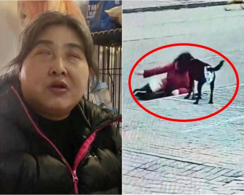 上海一名視障姨姨因遭鄰居投訴，被逼帶導盲犬於街外排泄，結果不時發生意外。網圖
