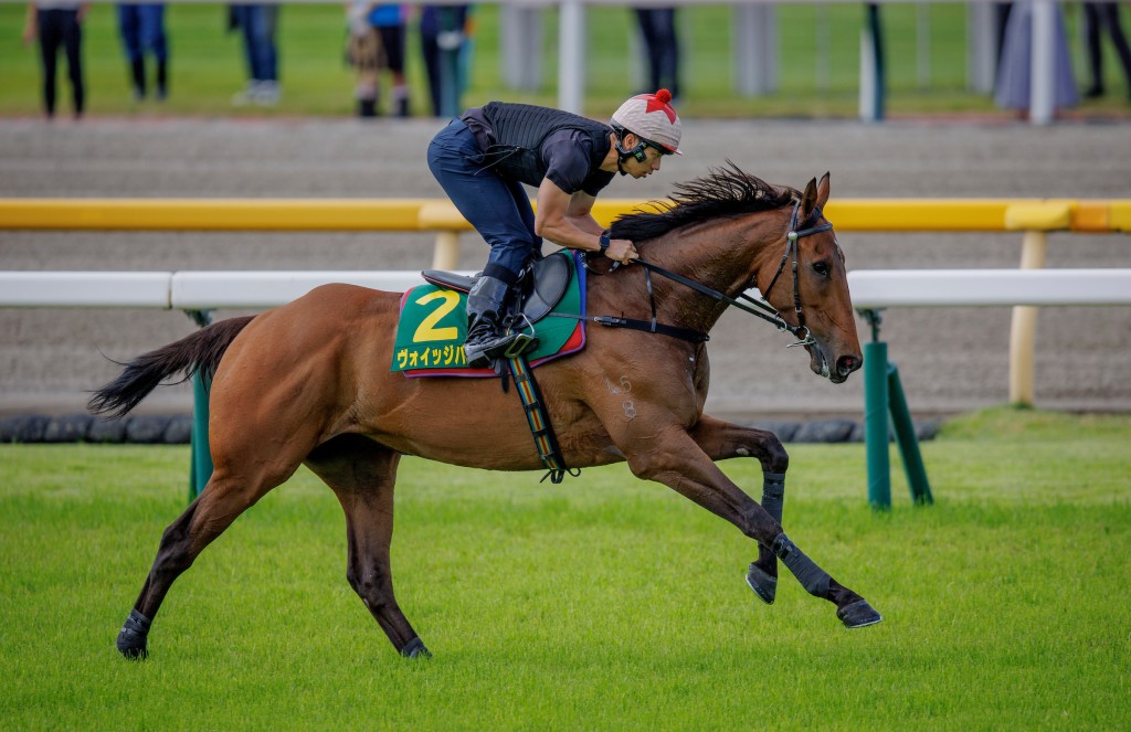「遨遊氣泡」今早於練馬師姚本輝抵埗前,在東京競馬場進行賽前最後一課操練。 「遨遊氣泡」今早於練馬師姚本輝抵埗前,在東京競馬場進行賽前最後一課操練。