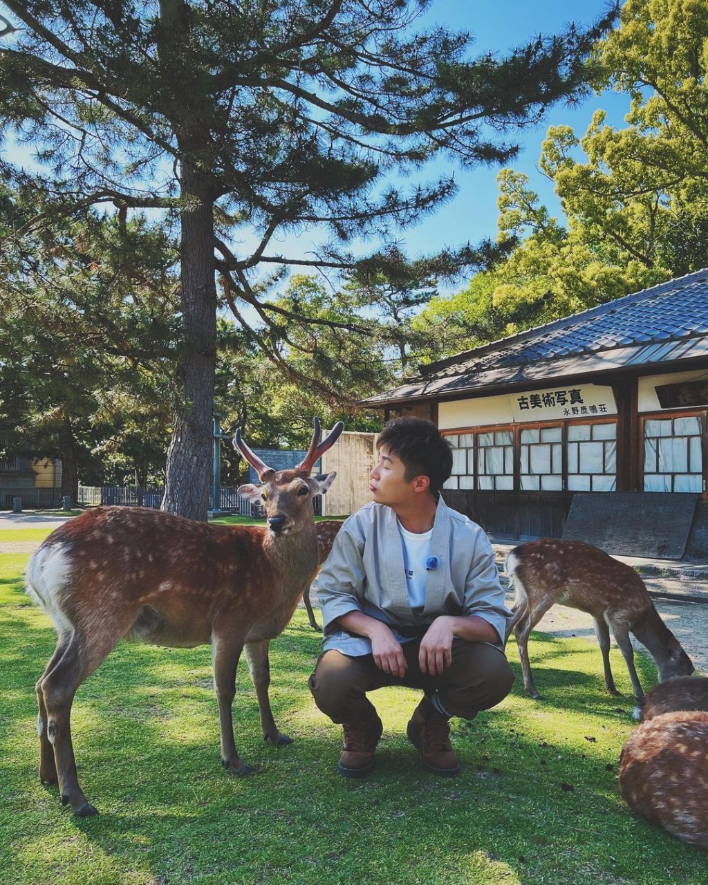 以往到奈良，都是到東大寺、春日大社等觀光景點遊覽，又或以餵小鹿為樂。