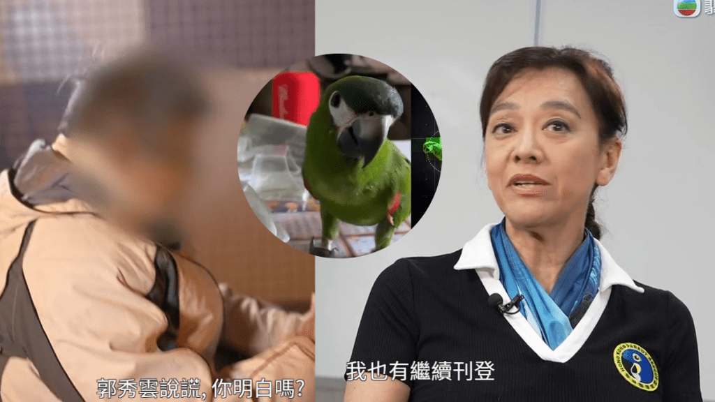 東張西望丨郭秀雲被指控搶雀？70歲婆婆失鸚鵡心碎誓要尋回愛寵：根本就係佢攞咗