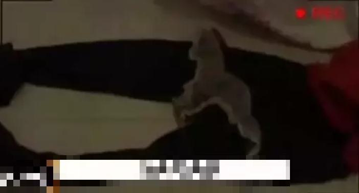 案发现场地上散落的衣物。