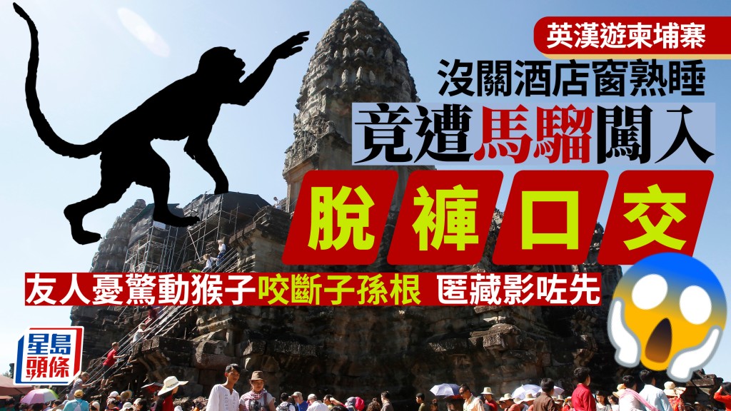 柬埔寨有馬騮擅闖酒店,性侵熟睡不醒的遊客。AP資料圖