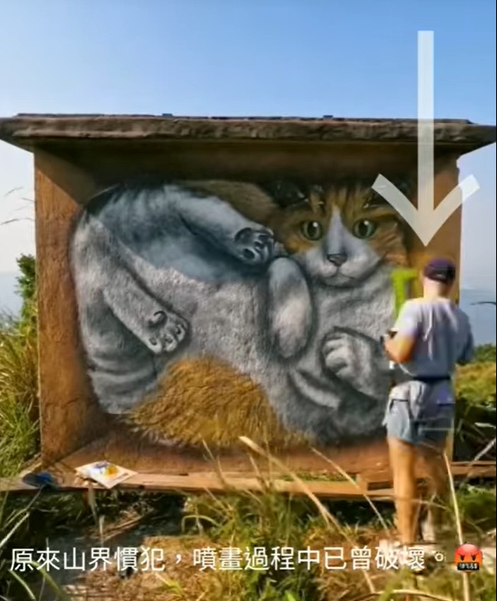 網民從藝術家公布的繪畫影片， 發現懷疑同一名破壞者在貓屋繪製時已曾進行破壞。