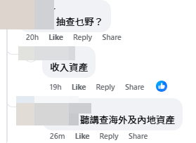 有網民表示審查包括內地和海外資產。（圖片：「公屋討論區」FB）