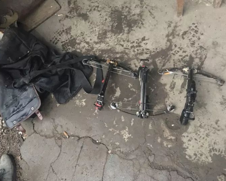 疑犯指會利用十字弓先射殺狗隻。