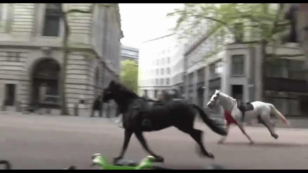 另一影片顯示兩匹馬在街上狂奔。 X