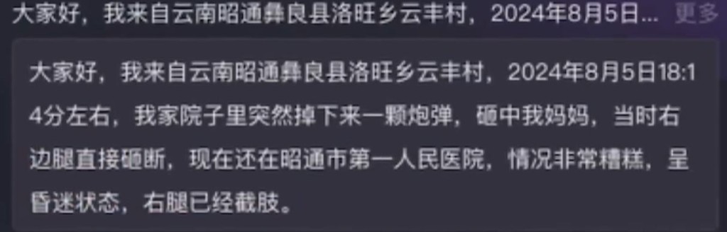 傷者兒子在網上講述事發經過。