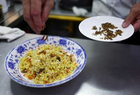 厨师制作「家蟋蟀」炒饭。　路透社