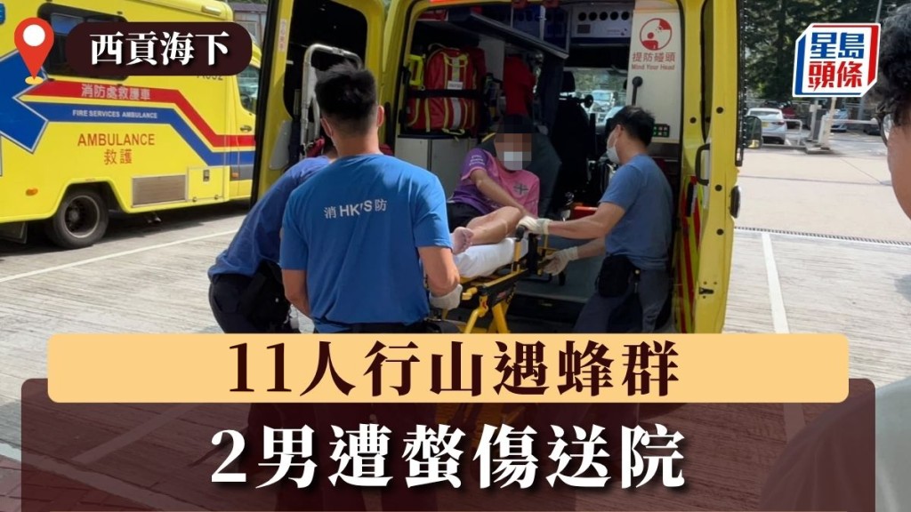 西貢海下11人行山遇蜂群 2男遭螫傷送院