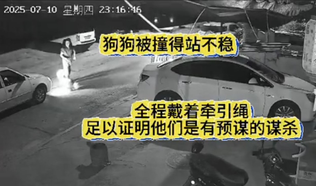 寵物醫院將絕育手術失敗的「大富」用車撞死，引起公憤。抖音＠梧桐