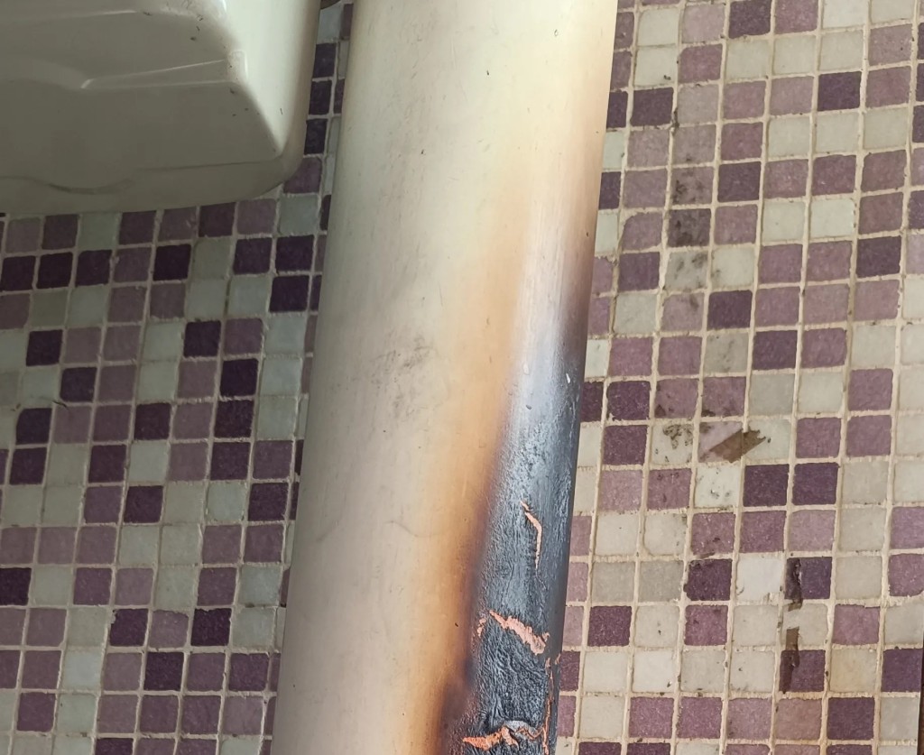 Threads截圖(資料來源:bluebell_raindrop@Threads) Threads截圖(資料來源:bluebell_raindrop@Threads)