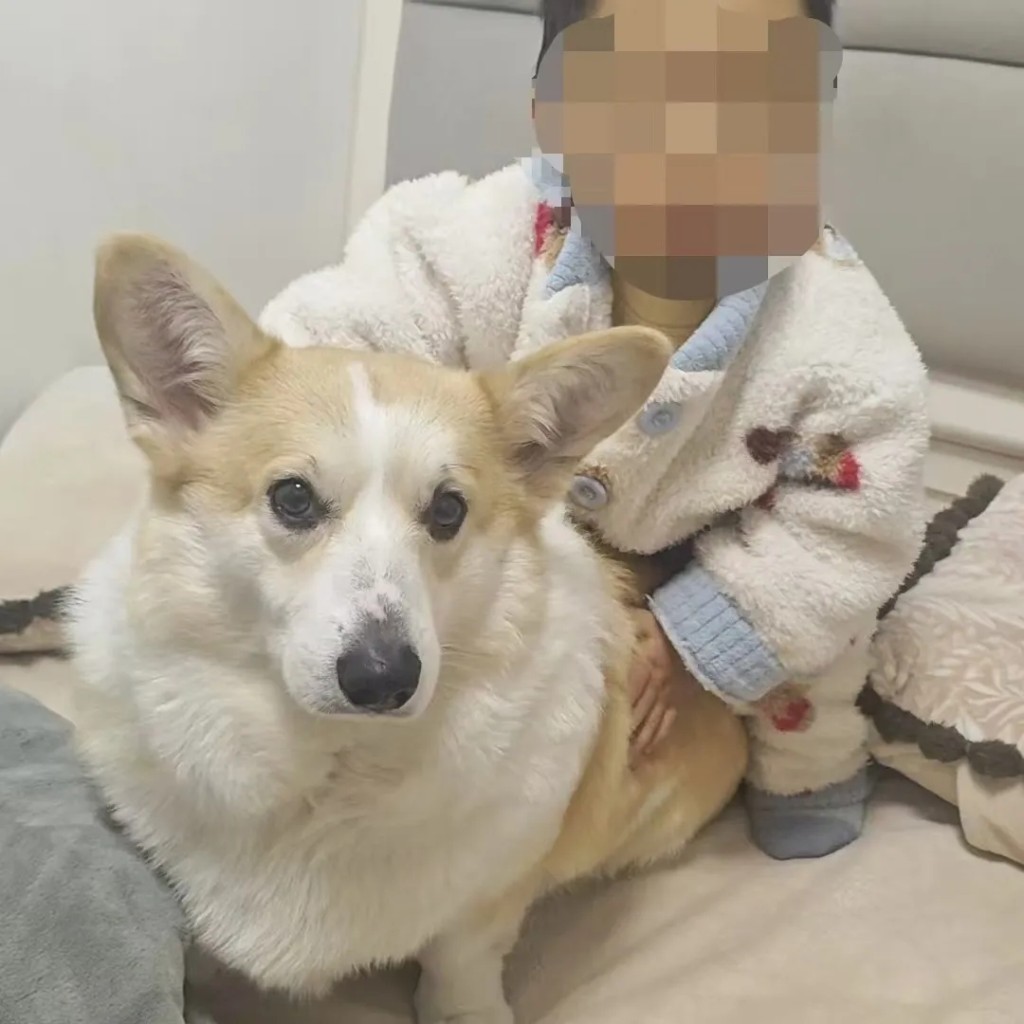 堕亡幼童父亲崔先生的微信头像。