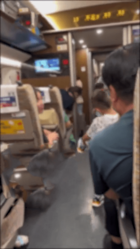 两名小孩在高铁车厢踢波，没有家长制止。