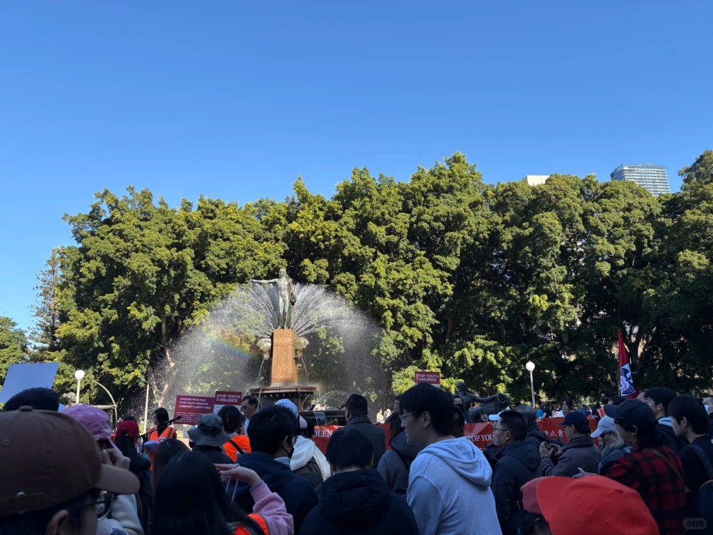 澳洲举行“停止青少年暴力”游行。小红书@vividOR