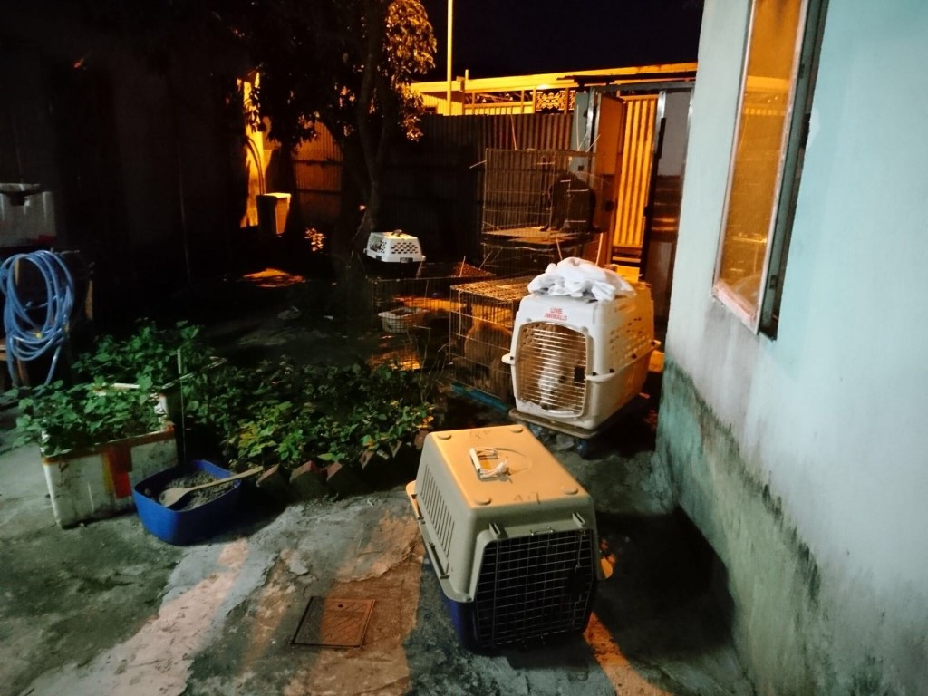 法庭記者劉曉曦攝