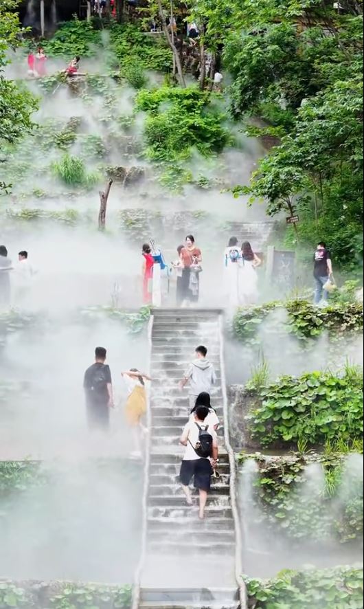 洛陽重渡溝自然風景區被指植被造假。抖音