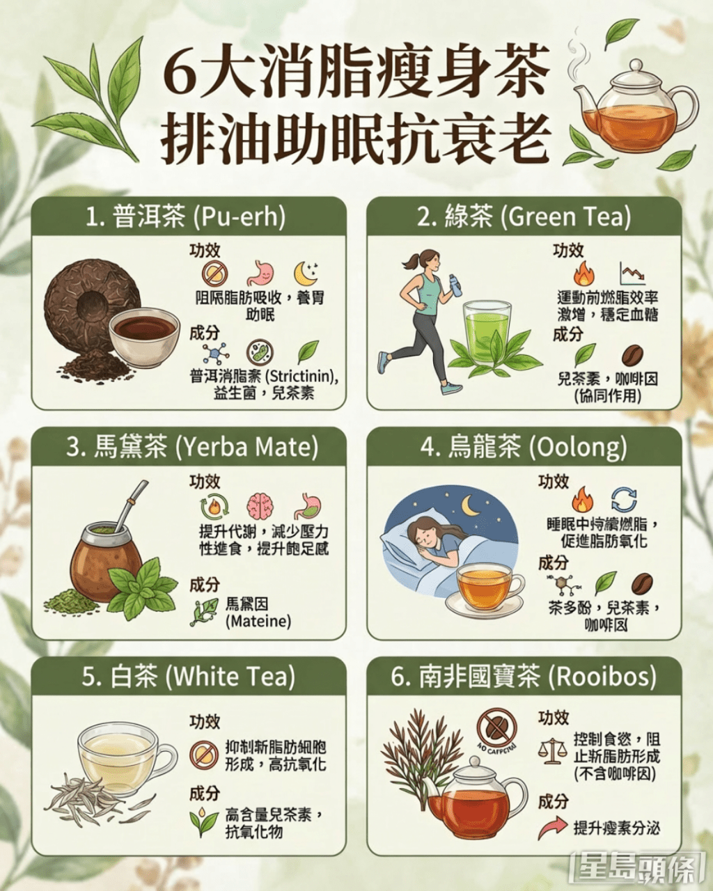 6大消脂瘦身茶 排油助眠抗衰老