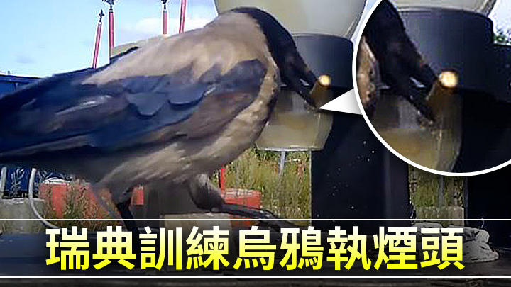 網上圖片