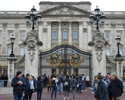 英国白金汉宫鼠患严重，常在厨房周边出没。　AP图片