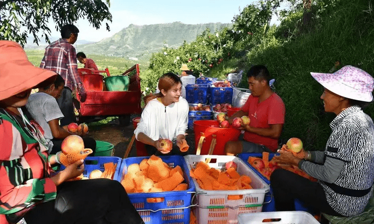 何爽：「农村是一片大有可为的土地，但创业有风险，选择项目时必须慎重，一定要做好规划和吃苦的准备。」