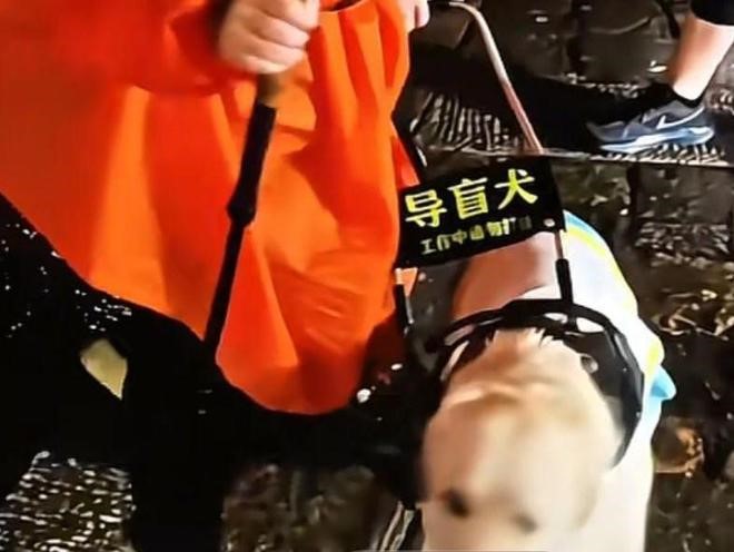 盲女帶導盲犬爬泰山惹虐待爭議。網易＠素衣讀史 