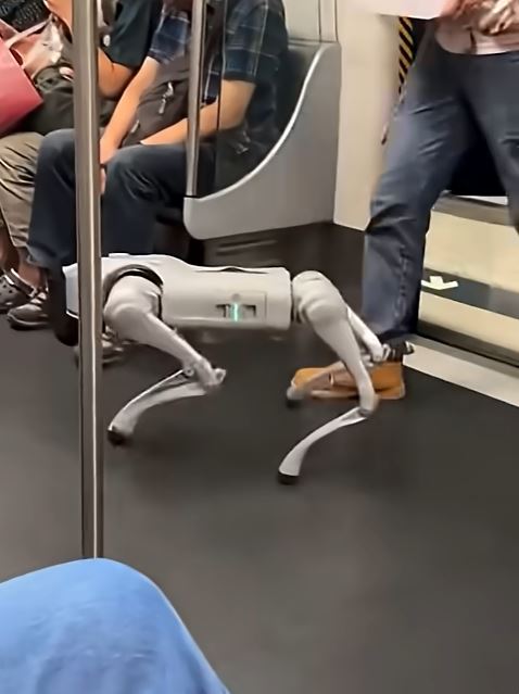 去年港鐵範圍內出現機械狗。資料圖片