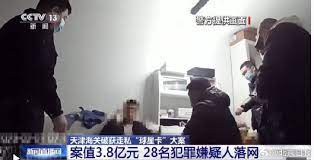 天津海关破获多宗“球星卡”走私案。