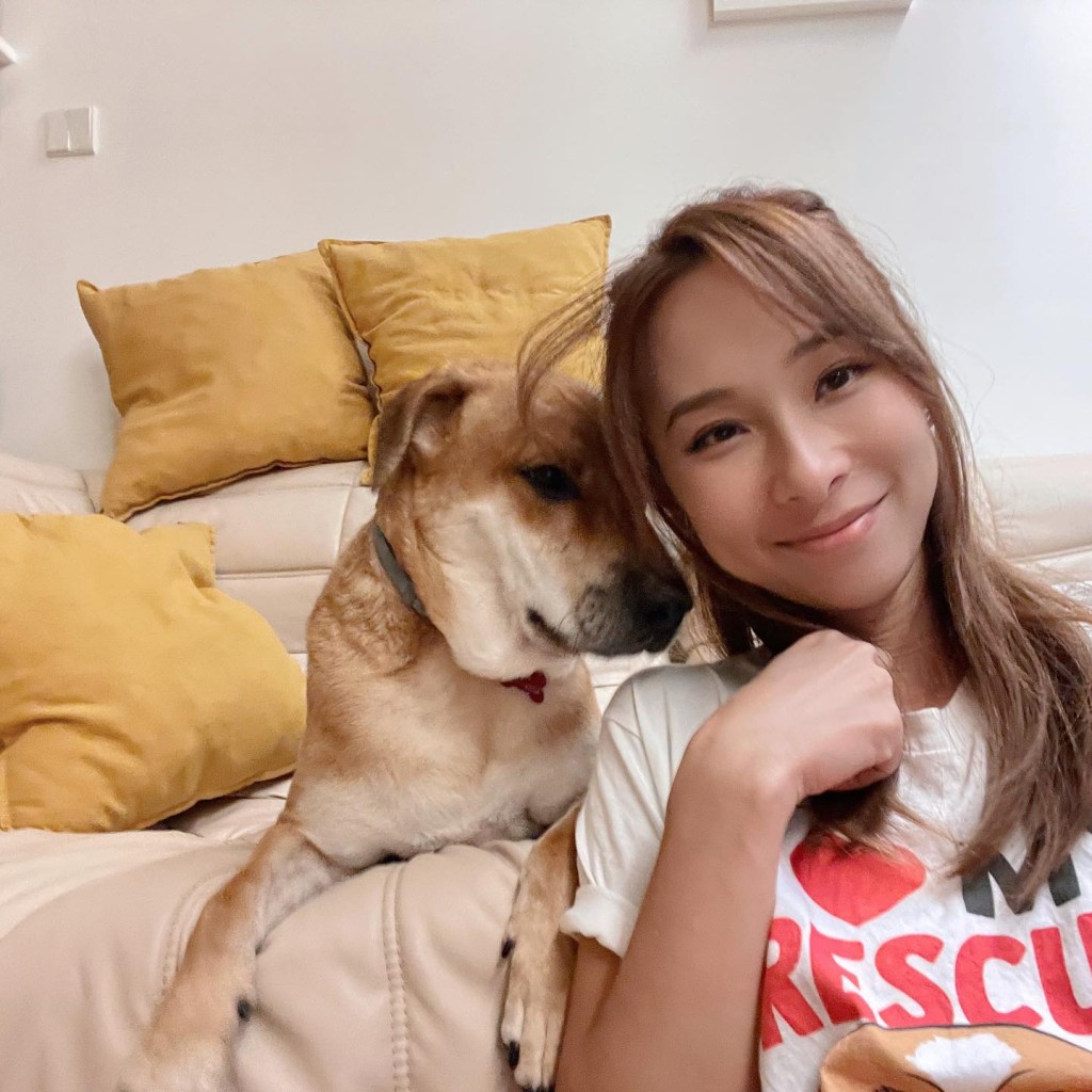 李旻芳也是愛狗之人。