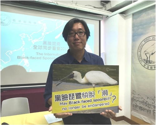余日東表示今年黑臉琵鷺全球同步普查的結果非常好。