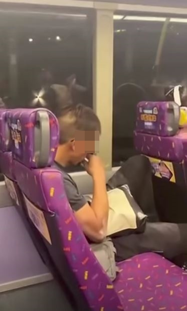 巴士男公然吸食電子煙。fb「車cam L（香港群組）」影片截圖