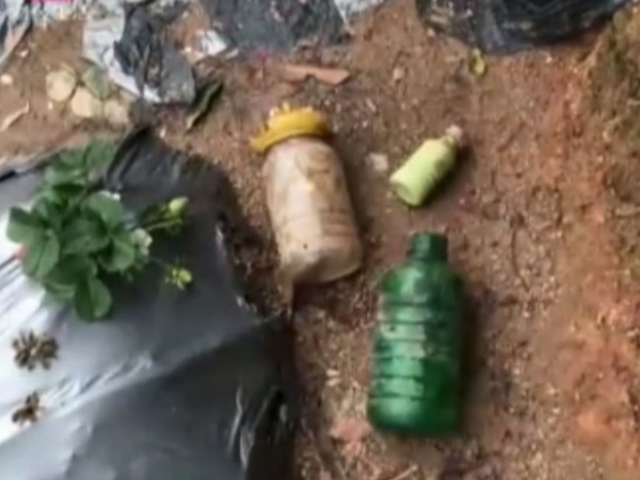 有游客在该园的杂草丛中,发现几个类似农药樽的容器。 网上图片