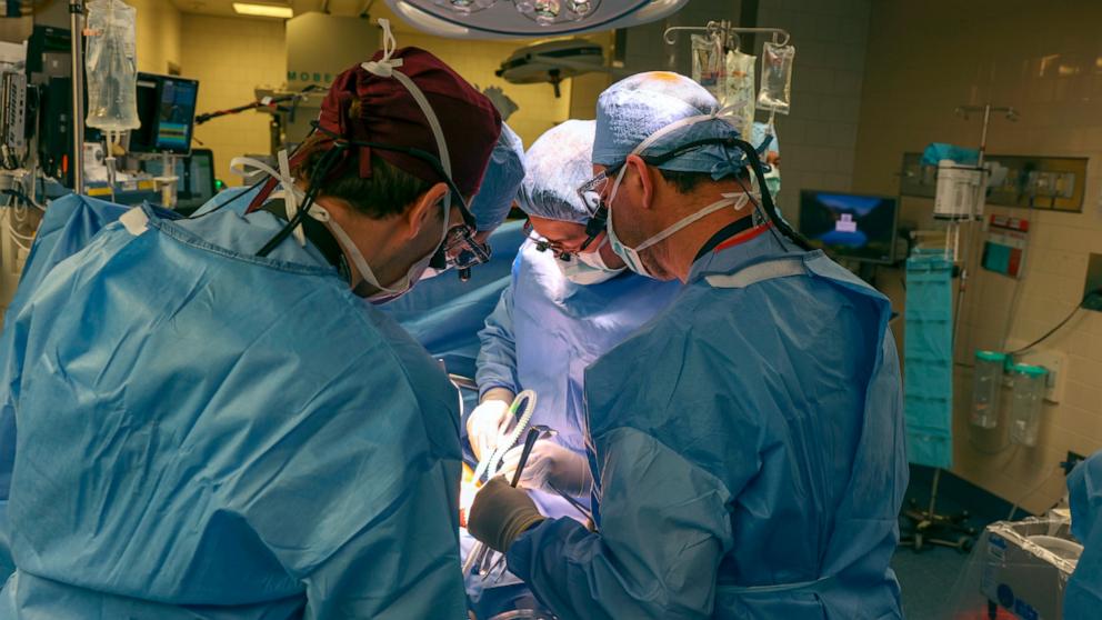 麻省總醫院3月16日為斯萊曼進行豬腎移植手術。麻省總醫院圖片