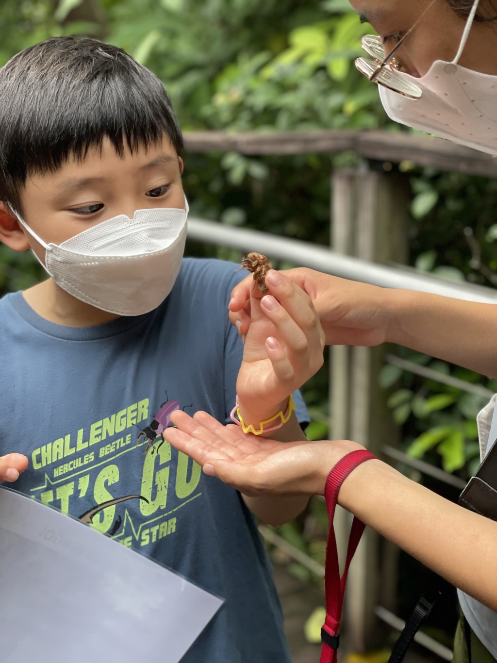 吃下午茶可以優惠價參加親子生態團活動。 吃下午茶可以優惠價參加親子生態團活動。