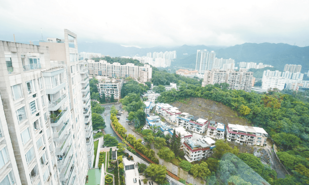 住户可在天台欣赏翠绿景致。