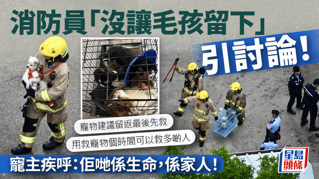 大埔宏福苑五級火｜消防員救毛孩引討論 「用救寵物時間可以救多啲人」 寵主疾呼：佢哋係家人！