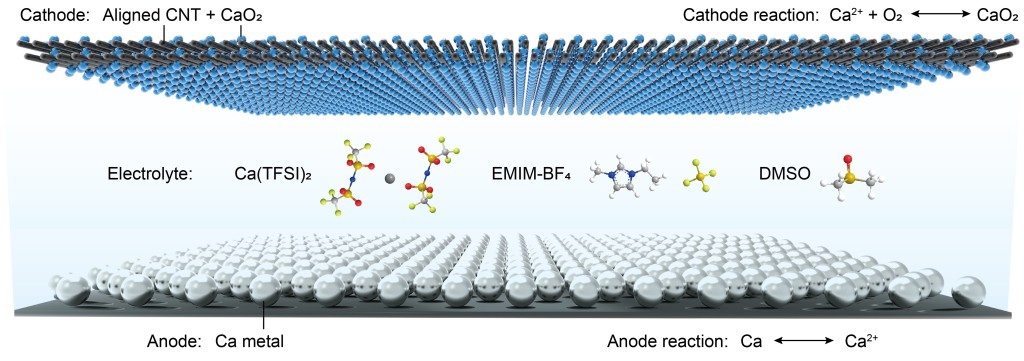 鈣-氧氣電池結構示意圖。