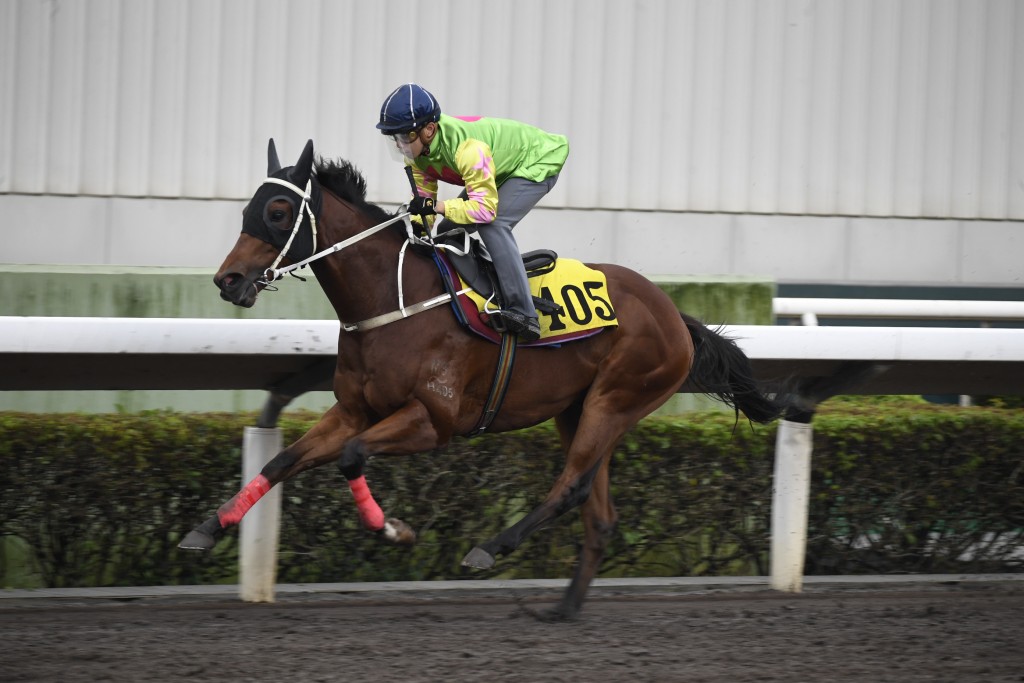 方富源透露「勝萬金」將於十二月四日國際騎師錦標賽當晚上陣，出戰四班谷草一千米的騎師賽其中一關，力爭連捷。