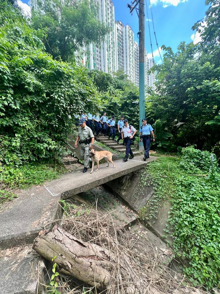 警员在区内高姿态巡逻。警方图片