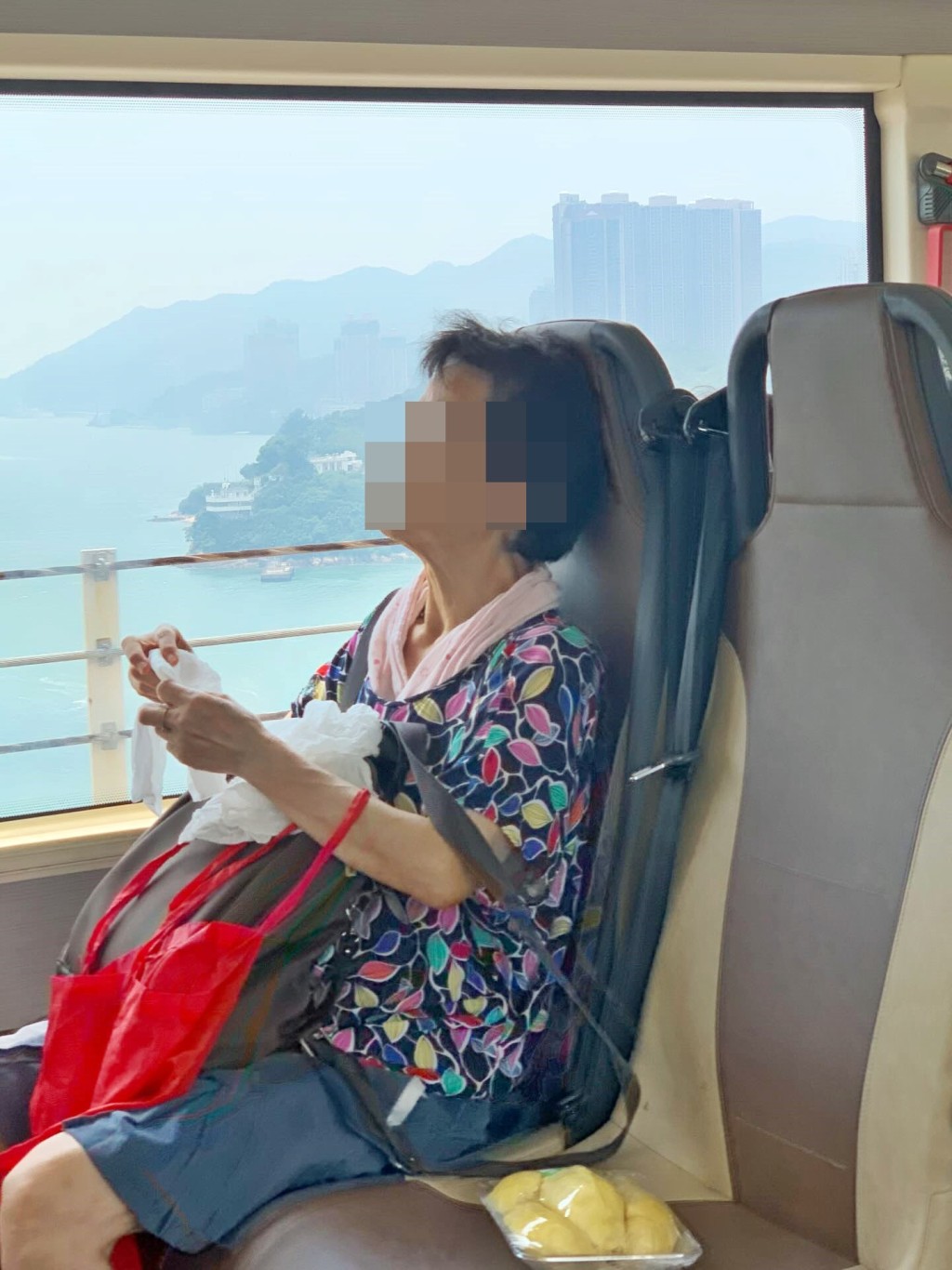 網上近日流傳一批婆婆乘搭一輛開往屯門的 巴士時，把一包以保鮮紙包著的榴槤肉放在 身旁座位上的相片。 網民對此熱烈議論，有人甚至嚴厲地形容此 為「生化武器」。Threads截圖