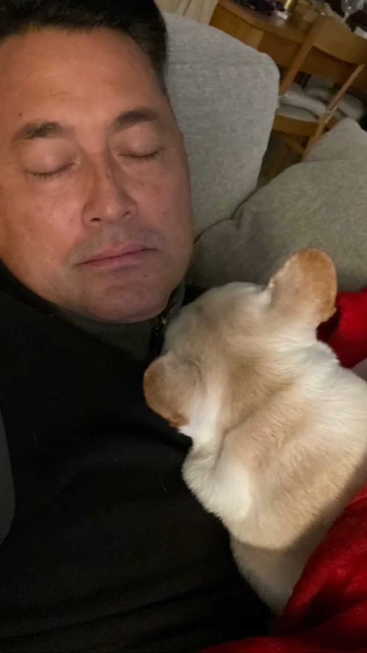 王敏德也会抱住狗狗一起睡。