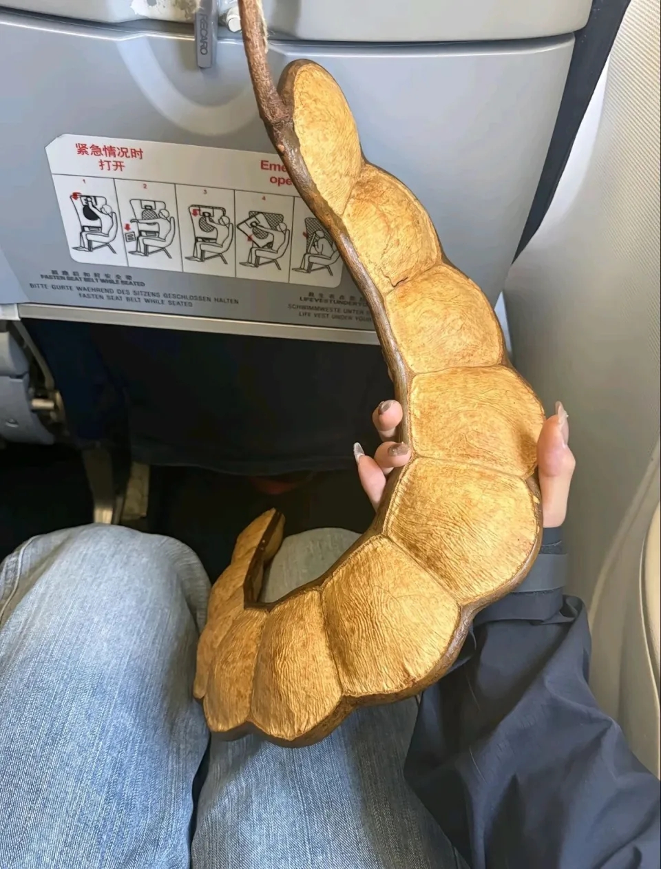 網友跟風分享攜巨大豆莢搭飛機的照片。