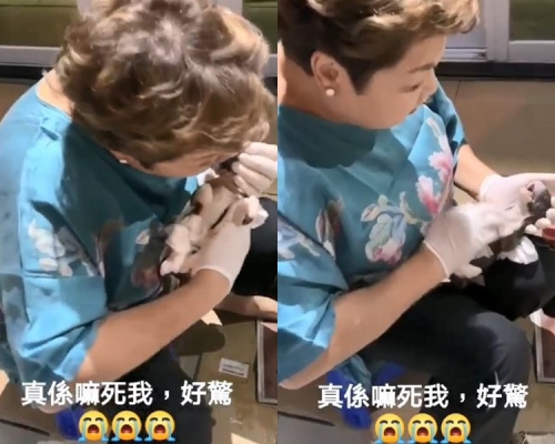 肥媽經過一小時努力救活了一直沒呼吸的11哥。