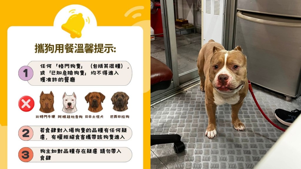 赤柱食肆老狗被指為格鬥犬惹議 食環署籲眾狗主：如對品種存在疑慮 請勿帶入食肆