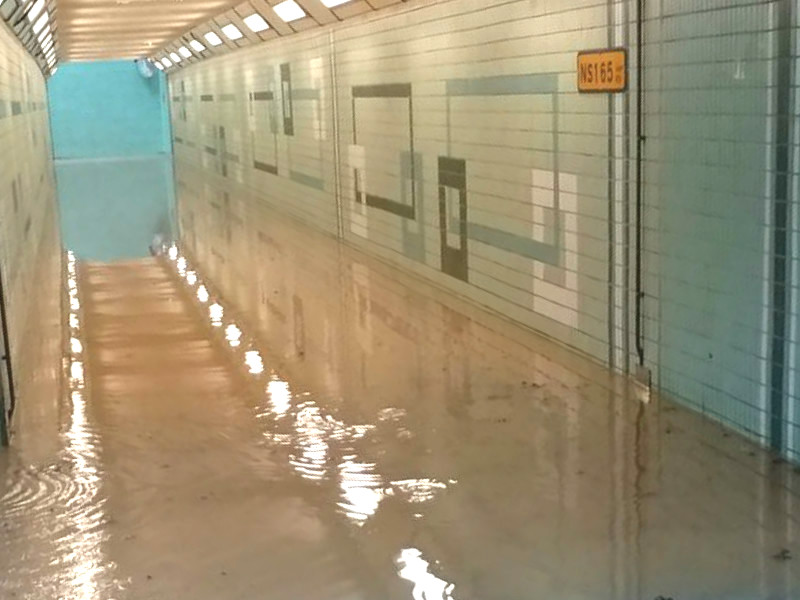 行人隧道被黃泥水淹沒。網民施嘉敏 圖片