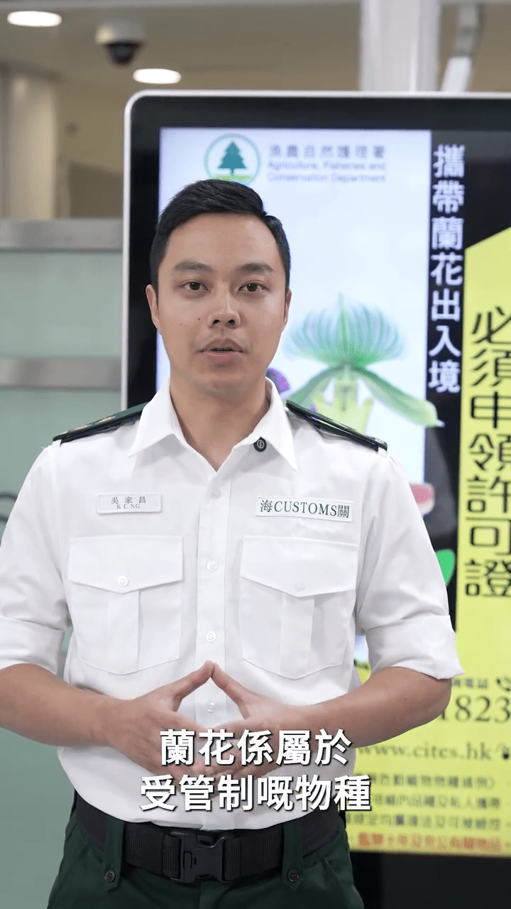 海關提醒,蘭花屬受管制物品。 海關提醒,蘭花屬受管制物品。