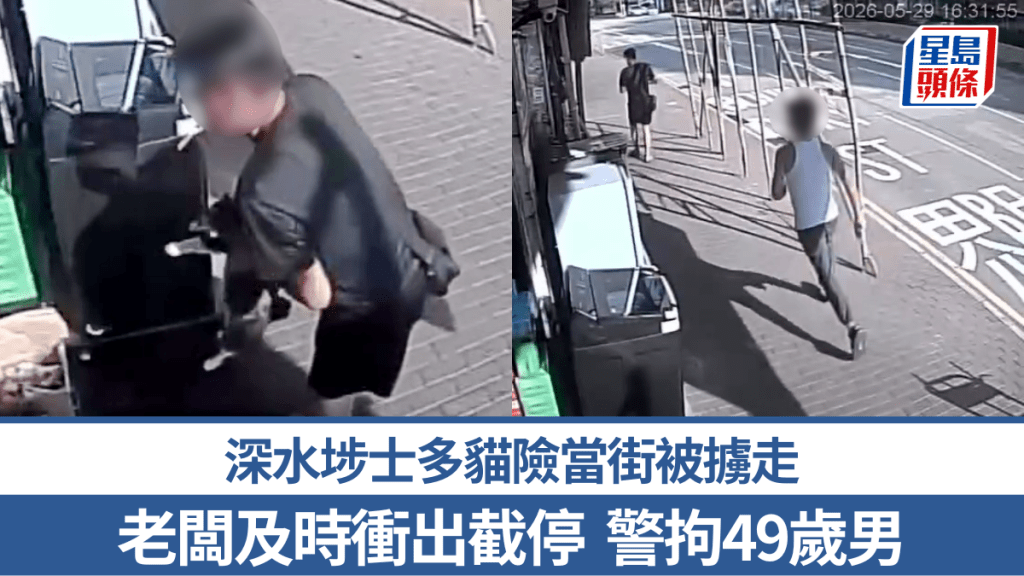 深水埗士多貓險當街被擄走 老闆及時衝出截停 警拘49歲男