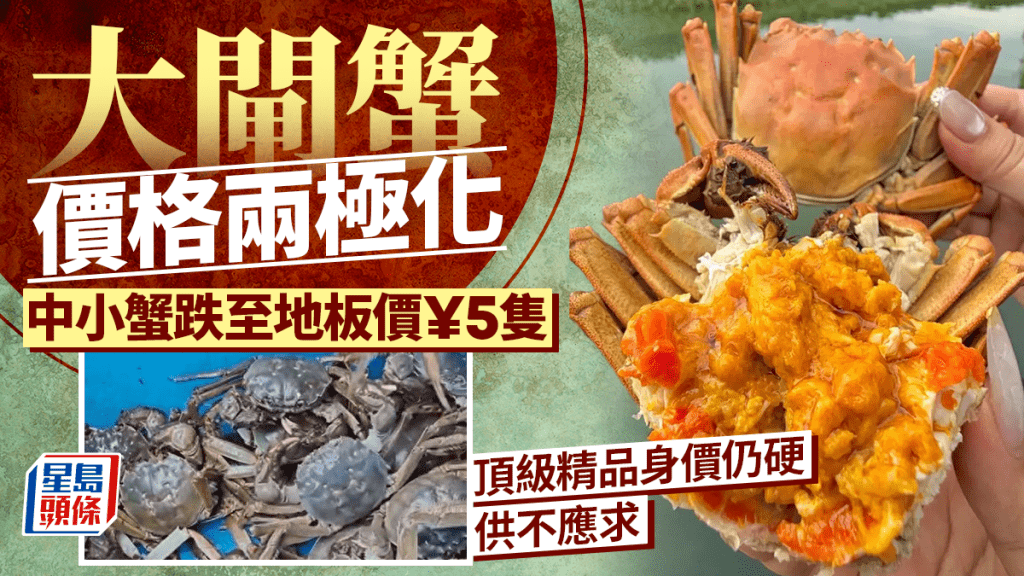 大閘蟹行情兩極化！中小蟹跌至地板價¥5隻 頂級精品身價依舊硬