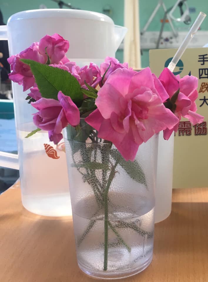 （臉書圖片）