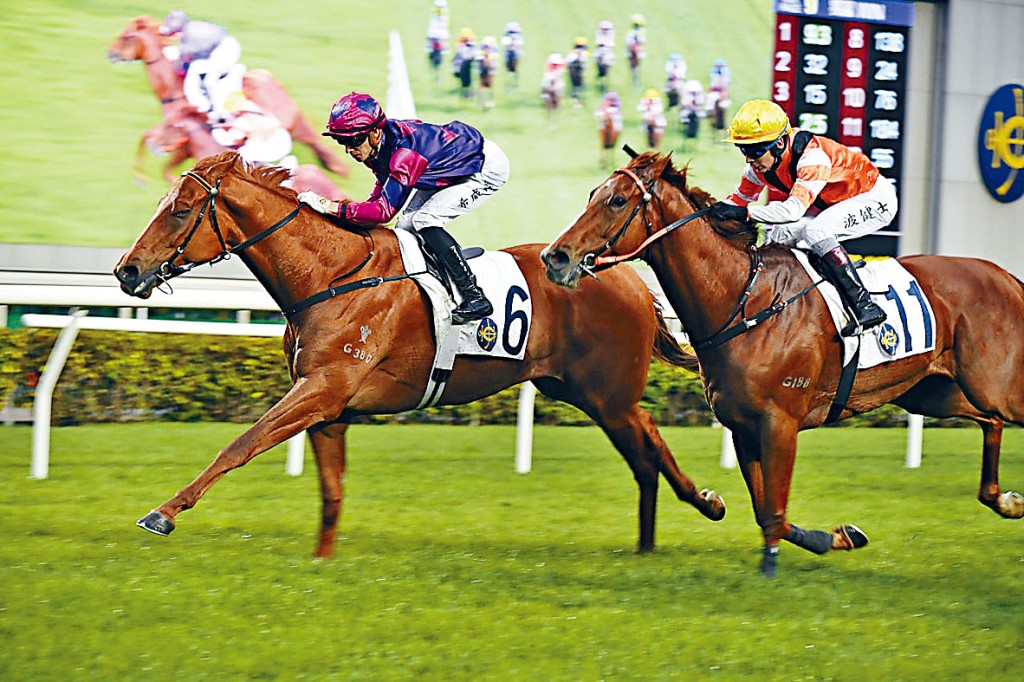 「晴王」昨日大热连捷，为练者郑俊伟中三元。