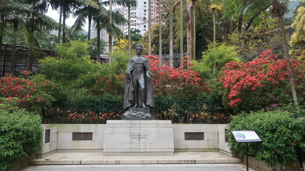 香港動植物公園杜鵑花開（七）。康民署「賞花情報」截圖